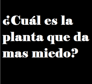 Cual+es+la+planta+que+da+m%C3%A1s+miedo.gif