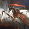cucaracha-ambar-2_0.jpg