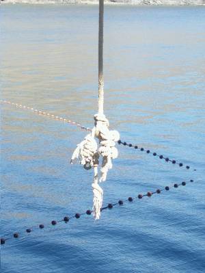 cuerda_junto_al_mar.JPG