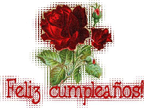cumplea%C3%B1os+(4).gif