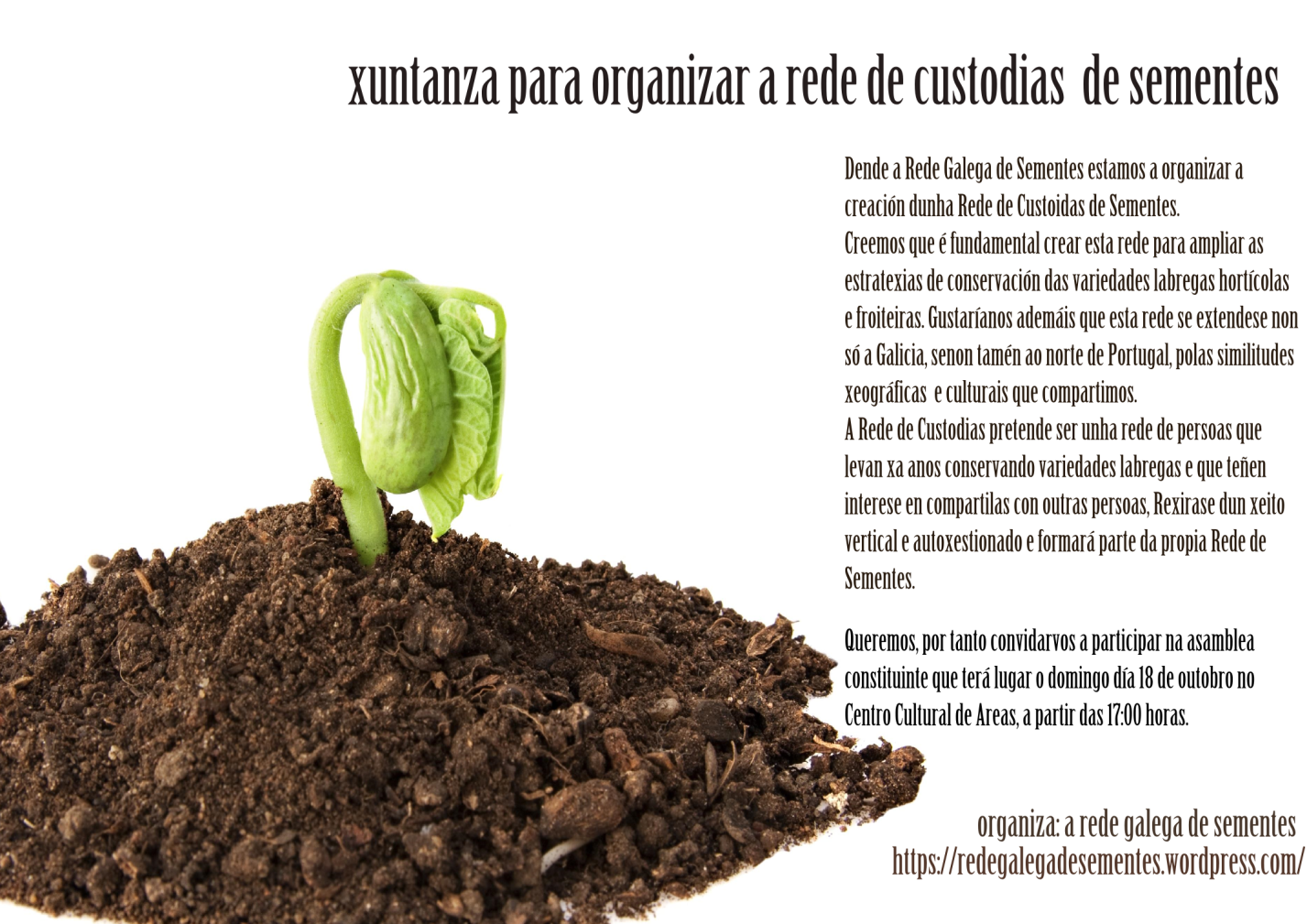 custodias1.png