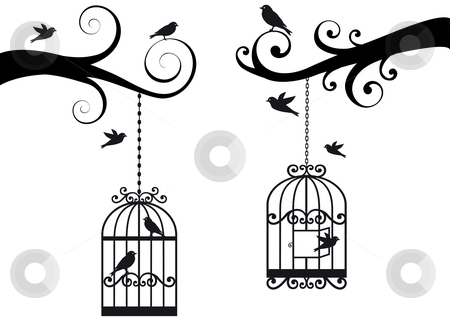 cutcaster-photo-100738288-birdcage-and-birds-vector.jpg