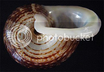 CyclExpaBas1FoKlKl_zps05eeb7df.jpg