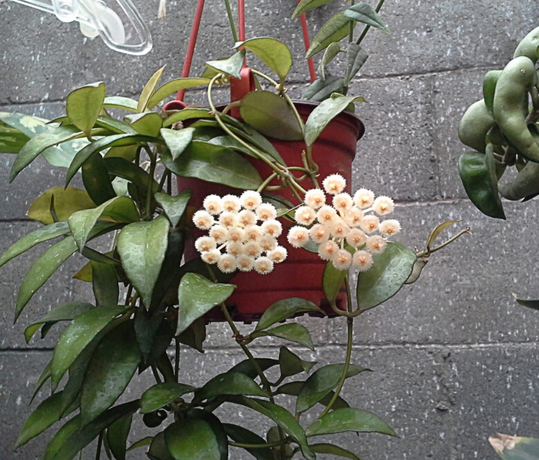 CYMERA_20140627_100506_zpsk7mn8uhm.jpg