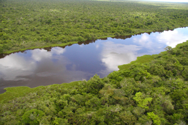 D%C3%ADa-Mundial-del-Ambiente.jpg