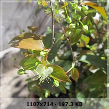 d005ea5089f33ab69c01a2d8309da6c5o.jpg