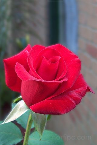 d009e6f5f84602987a7bd9962df29c1a.jpg
