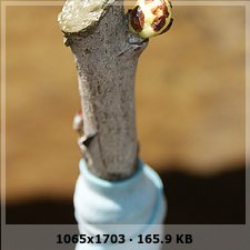 d0ff91ed3deb5844a2a01ada00c7a5c7o.jpg