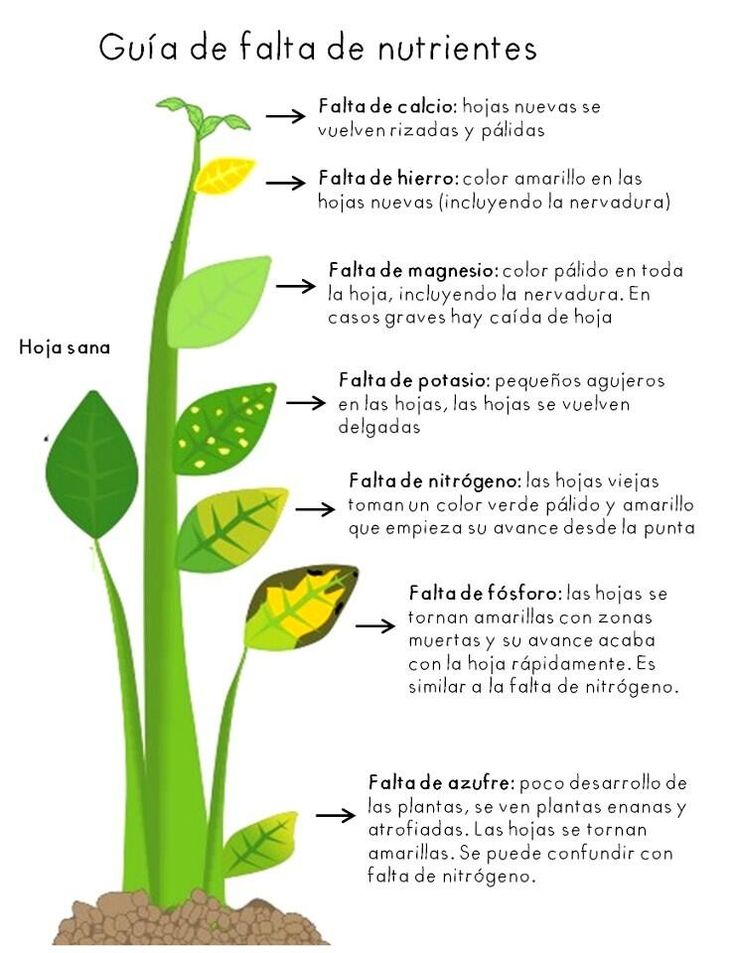 d2039ca83b52d28b612bca77356fc4cb.jpg