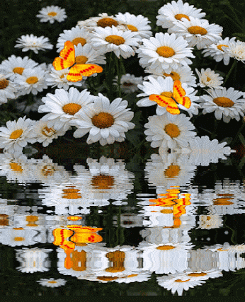 d70b0a8149e13679a4f9672560d77339.gif