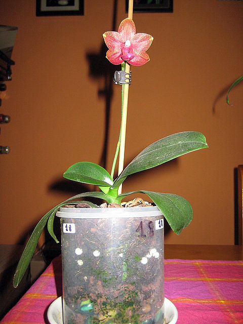 d72e729f.jpg