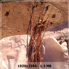 d8150e3303cdb242b09664ba0f96178bo.jpg