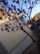 d9e11796781340.jpg