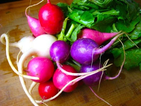 d__vyrn_181rainbow_chard_comp.jpg