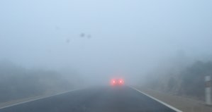 d_a_de_niebla.jpg