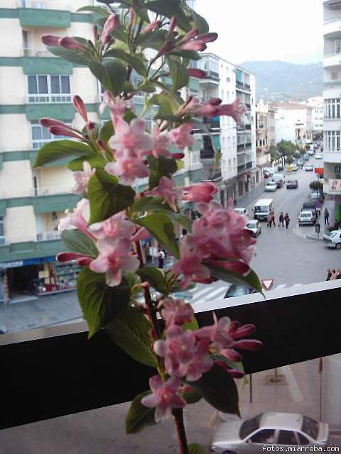 dac65680.jpg