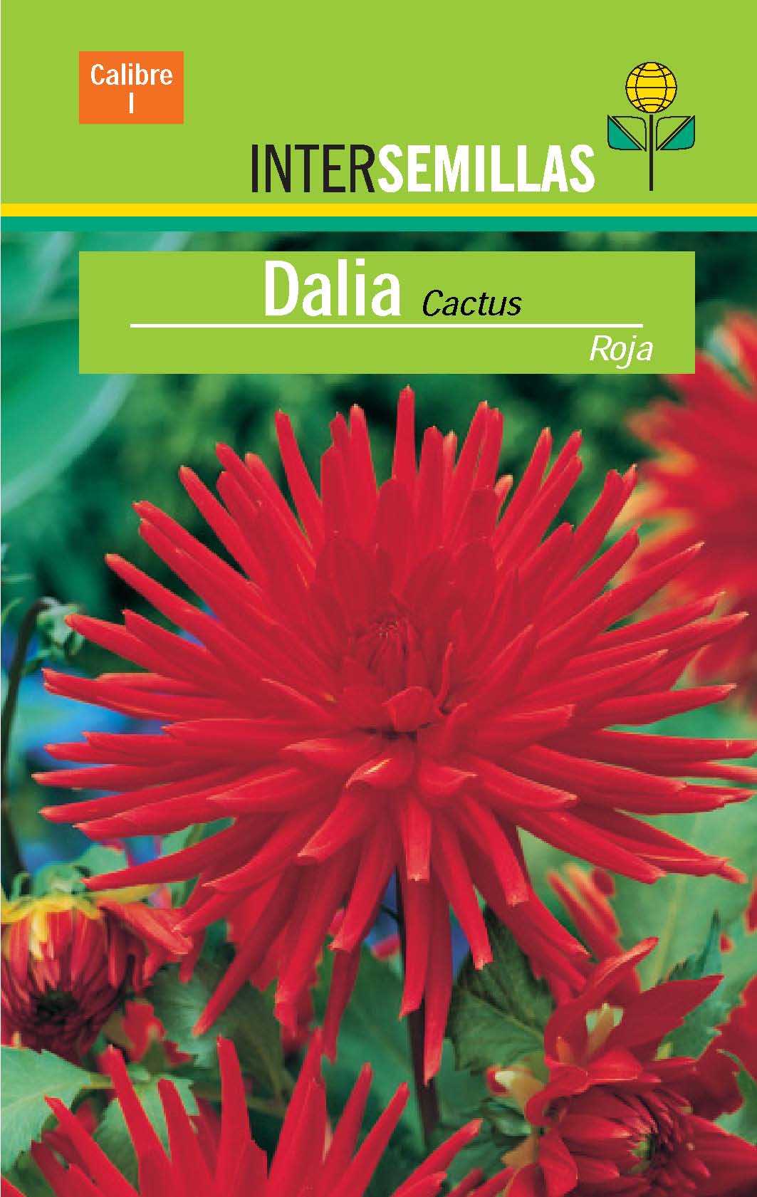 dalia%20cactus%20roja1.jpg