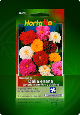 DaliaEnana.jpg