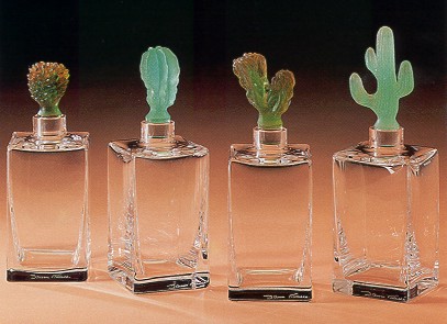 daum-cactus-btl.jpg