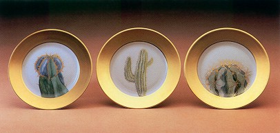 daum-cactus-dpa.jpg