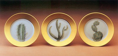 daum-cactus-dpb.jpg