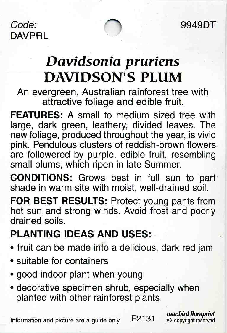 Davidsons-Plum-b.jpg