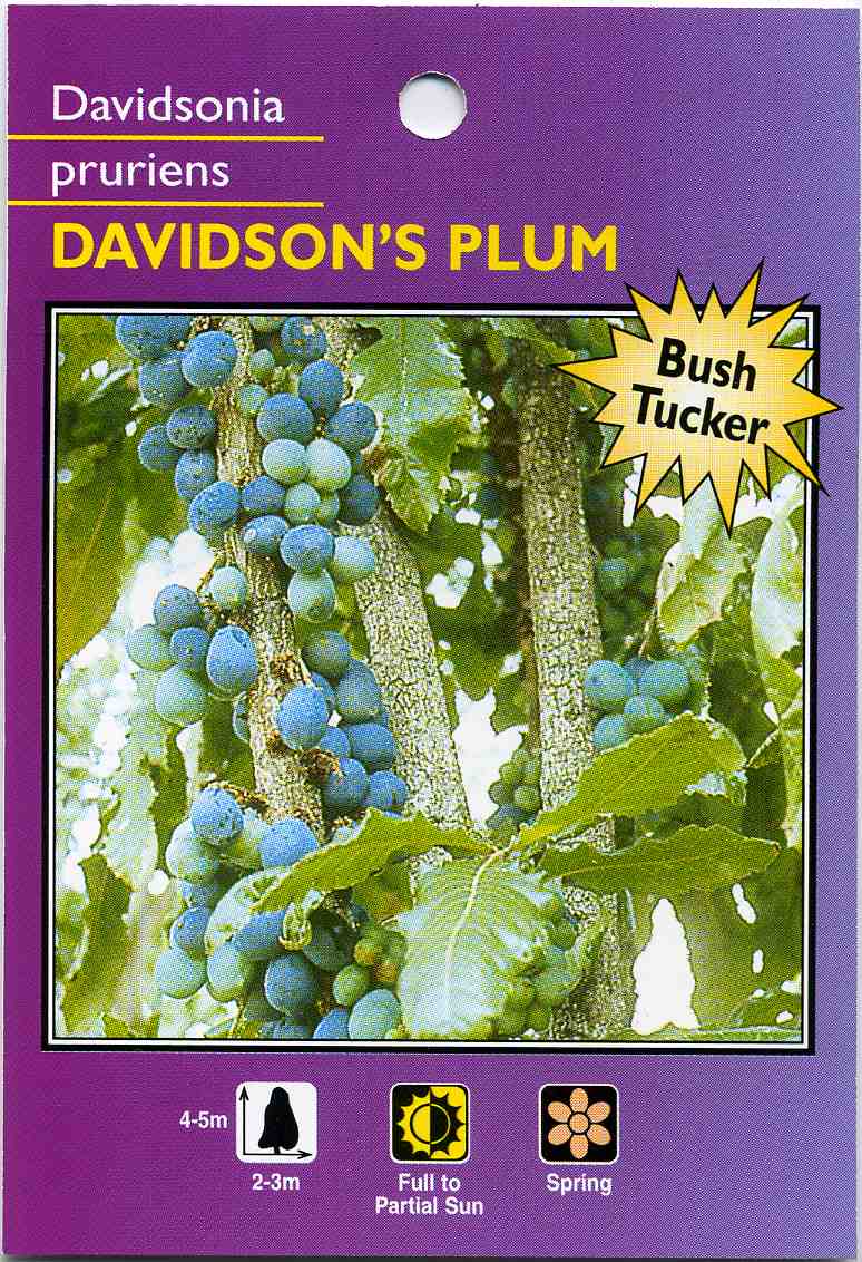 Davidsons-Plum.jpg