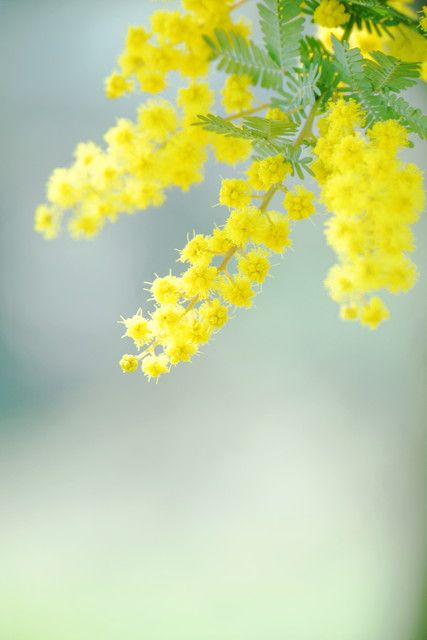 dbf156b62bdf0770bee5a2ddad3d99fa.jpg