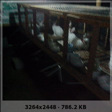 dc9d6a2b8901527a84fa31077cc77efeo.jpg