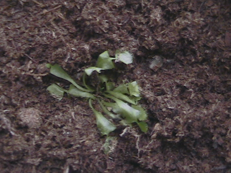 DCAM0096.JPG