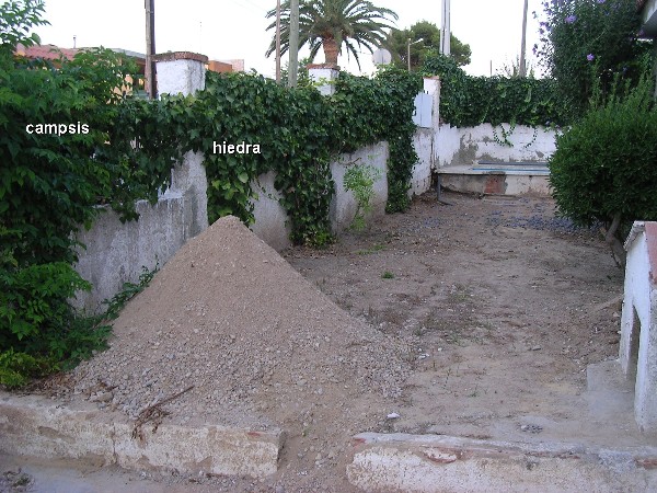 dcha1-.jpg