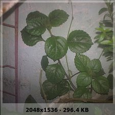 dde577105ab623cb47f6f7812e26b3fco.jpg