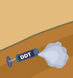 ddt.gif