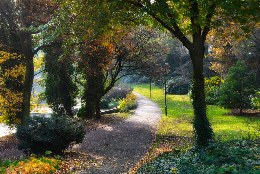 de-paseo-por-el-parque-park.jpg