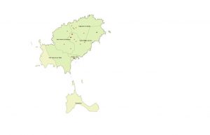 de-xylella-fastidiosa-1-300x193.jpg