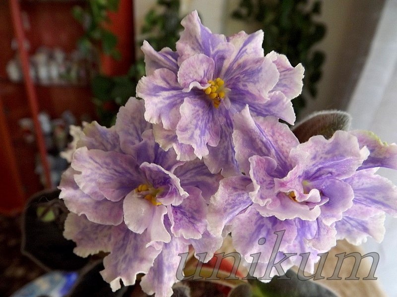 de855109bdcd.jpg