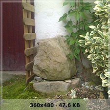de88cc2d84501c78305433a1949f5882o.jpg
