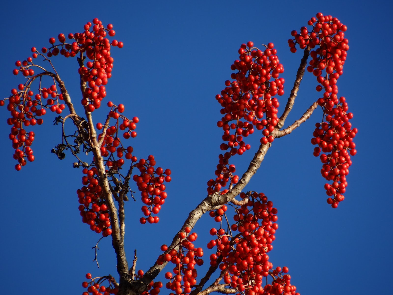 december+2011+125.JPG