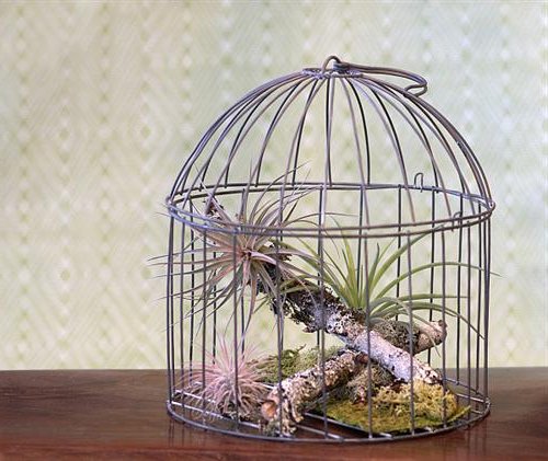 Decoraci%C3%B3n-con-jaulas-de-p%C3%A1jaros-10-Custom.jpg
