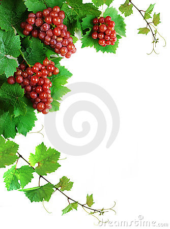decoraci-oacuten-de-las-uvas-de-vino-thumb3067092.jpg