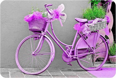 decoracion+con+bicicleta+plantas.jpg