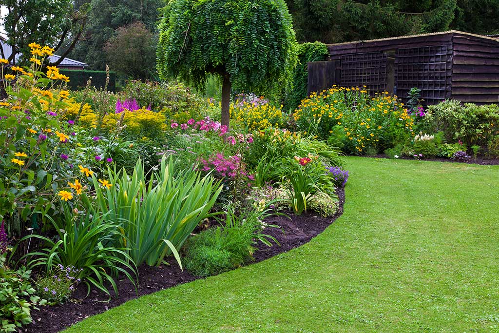 decoracion-jardines-mulch.jpg