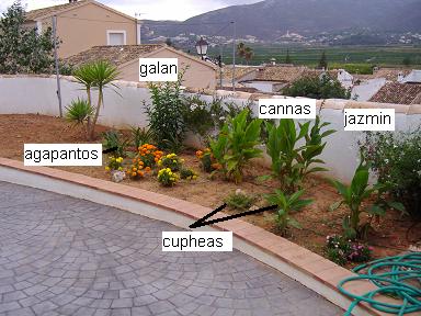 delante.JPG