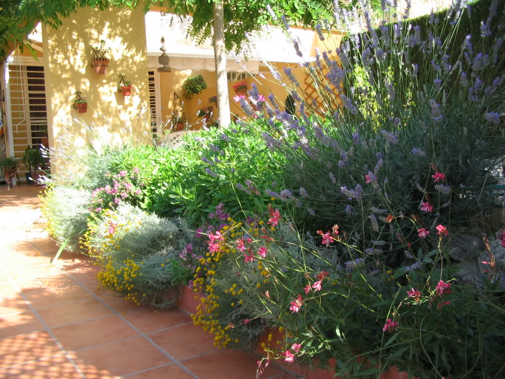 delanteroflorido003.jpg