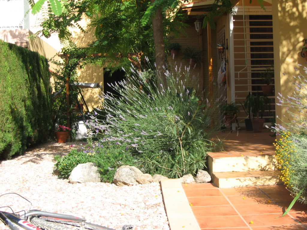 delanteroflorido004.jpg