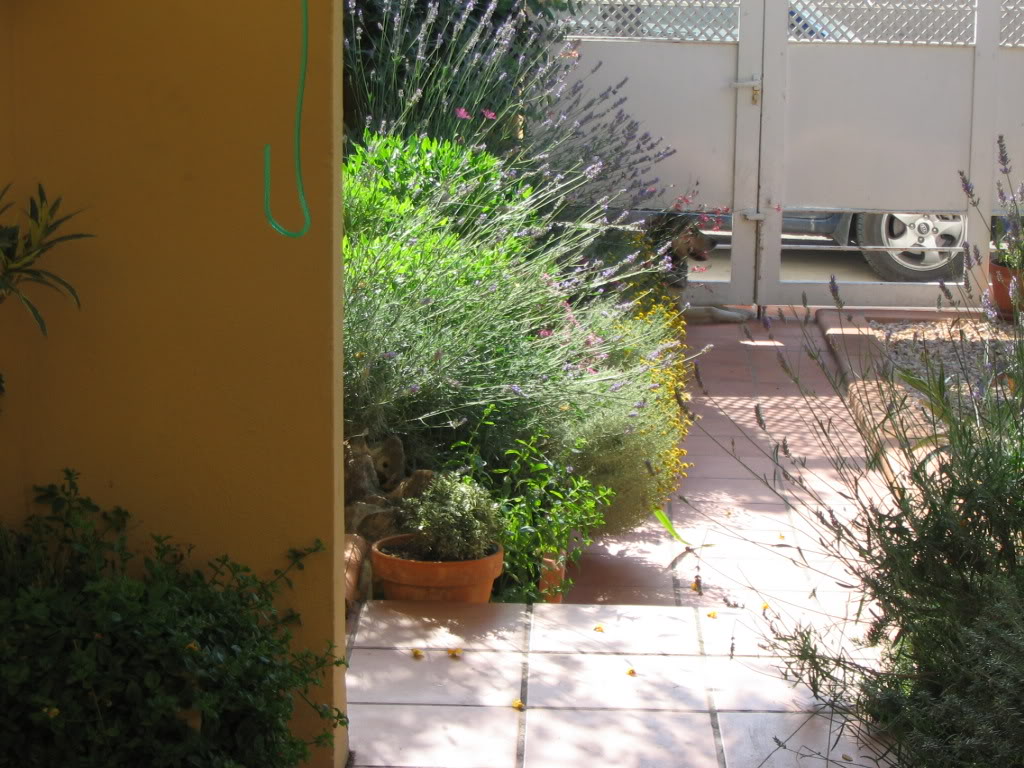 delanteroflorido006.jpg