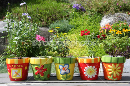 dep_11106675-Colorful-pots-and-flowers..jpg