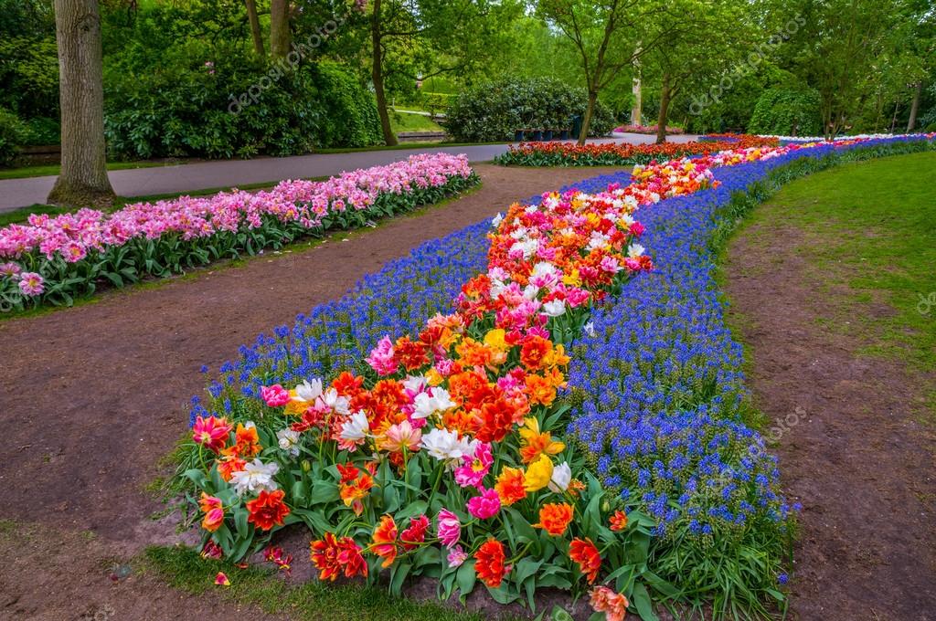 depositphotos_108794904-stock-photo-colorful-flowers-paths-keukenhof-park.jpg
