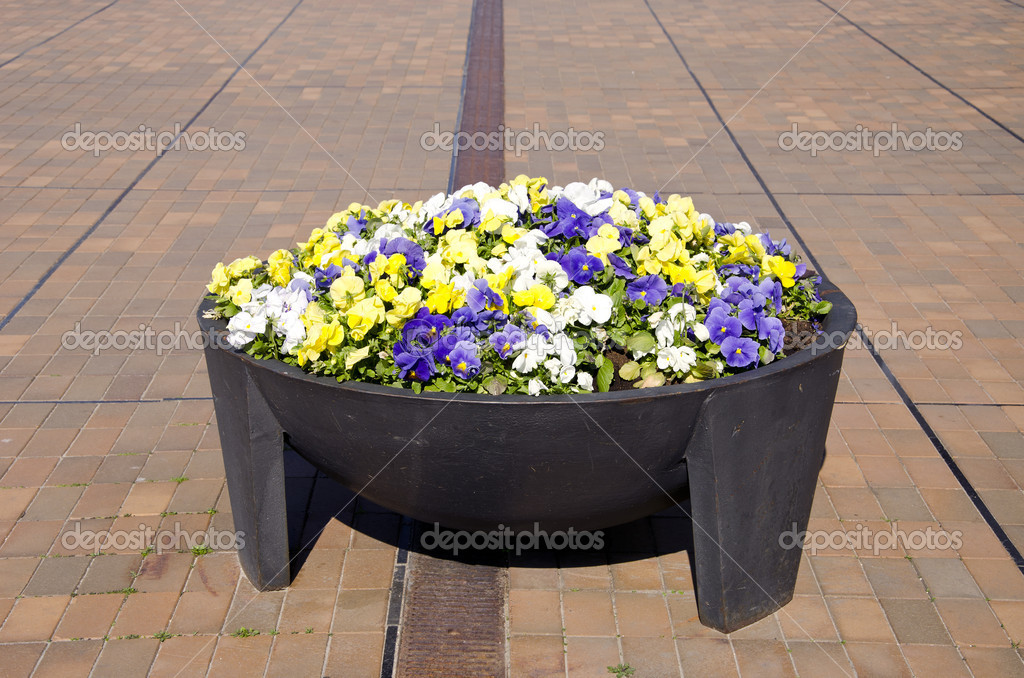 depositphotos_10931685-Big-flower-pot-in-the-city-square.jpg