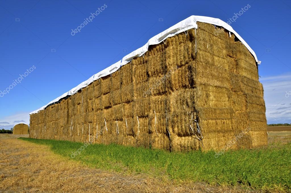 depositphotos_125239714-stock-photo-stack-of-straw-bales.jpg